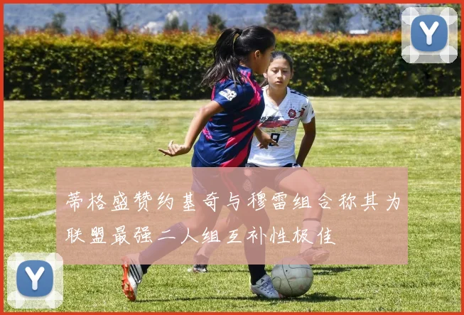 蒂格盛赞约基奇与穆雷组合称其为联盟最强二人组互补性极佳