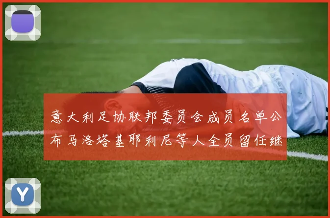 意大利足协联邦委员会成员名单公布马洛塔基耶利尼等人全员留任继续服务