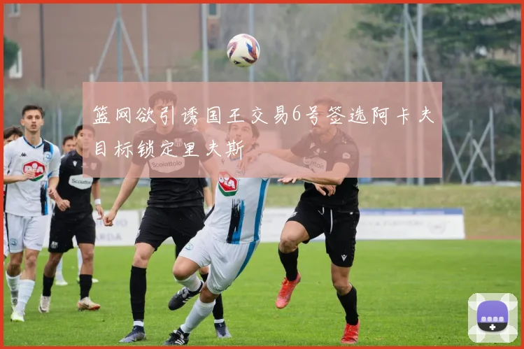 篮网欲引诱国王交易6号签选阿卡夫目标锁定里夫斯